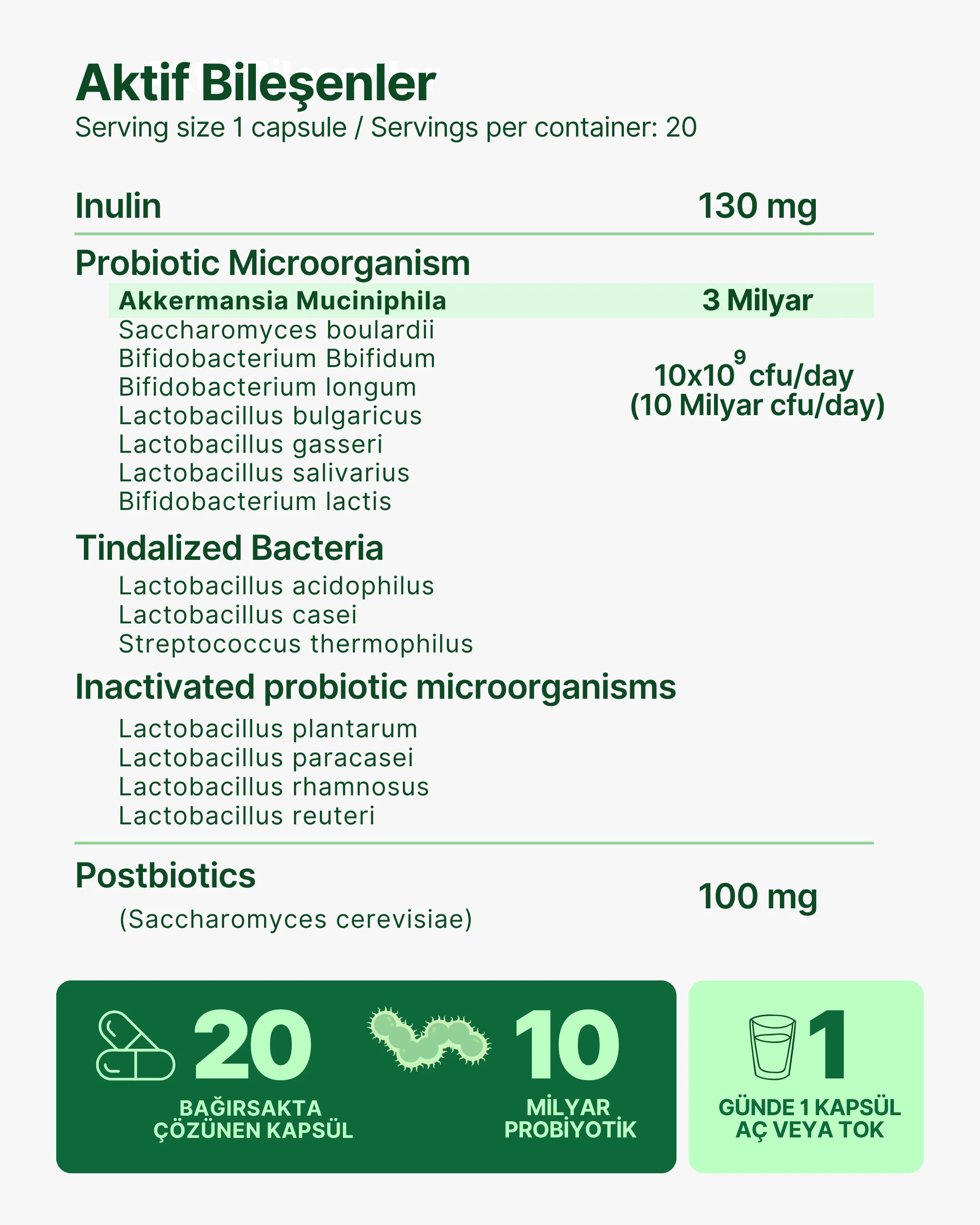 Akkermansia Muciniphila 10 Milyar Probiyotik + Postbiyotik + İnülin - Image 4